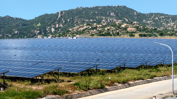 🌞 Land-Based Solar Solutions